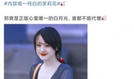 娱乐爆料陈飞宇视频,娱乐爆料背后的真相揭秘
