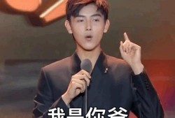 娱乐爆料陈飞宇视频,娱乐爆料背后的真相揭秘