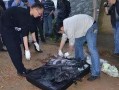 南京碎尸案爆料视频大全,惊悚事件全程回顾