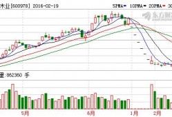 今日木业爆料,今日爆料带你领略行业新风向