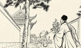 贪色夫人在线观看,一场欲望与权力的较量