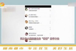爆料教育网红视频,视频爆料背后的真相与反思