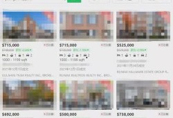 多伦多最新爆料,揭秘城市热点事件背后的真相