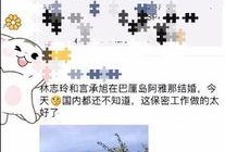 巴厘岛网友爆料视频播放,揭秘神秘事件背后真相