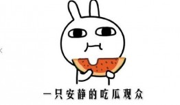 抖音吃瓜免费看,轻松解锁热门瓜子的秘密通道