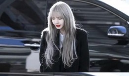 韩国娱乐圈爆料lisa,揭秘偶像背后的故事与挑战
