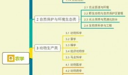 枣庄导游爆料视频大全集,带你领略这座城市的独特魅力与幕后故事