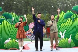 卡哥最新爆料视频下载大全,揭秘幕后真相，尽在这份独家汇总