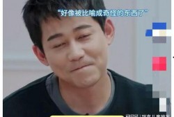 苏醒爆料陆虎视频播放下载,揭秘娱乐圈幕后风云