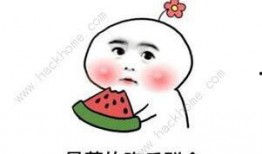 抖音吃瓜免费看,轻松解锁热门瓜子的秘密通道