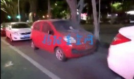 没素质视频爆料怎么办,应对没素质视频爆料的正确姿势