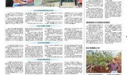 云南日报头条新闻爆料,重磅爆料揭示重大新闻事件
