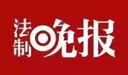 鲁美最新爆料新闻,揭秘娱乐圈惊人内幕