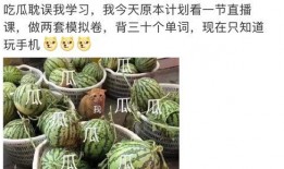 最新免费吃瓜网站大全,盘点全网热门免费资讯平台
