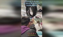 没素质视频爆料怎么办,应对没素质视频爆料的正确姿势