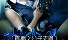 公子在线观看,穿越时空的浪漫邂逅