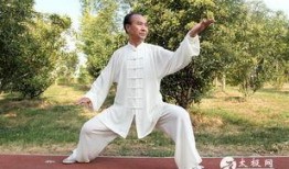 马老师爆料太极拳视频全集