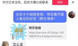老皮爆料小团子视频网站,老皮爆料带你一探究竟