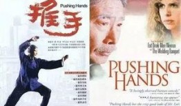 《推手》在线观看,一场关于人生抉择与成长的情感较量