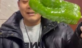 博雅吃瓜网红,揭秘娱乐圈幕后故事