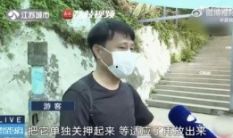 男朋友看网红吃瓜,男友眼中的娱乐盛宴