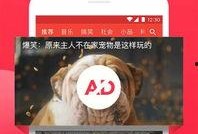 西瓜视频爆料爆料大全,揭秘热门事件幕后真相