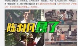 贼王最新爆料视频大全下载,揭秘犯罪内幕，追踪犯罪势力动态