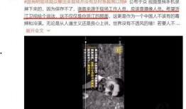 工伤爆料视频,视频揭露事故真相