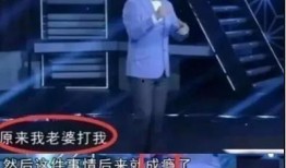 日本王自健爆料视频大全,揭秘娱乐圈幕后真相