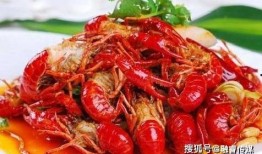 爆料小龙虾做法视频全集,视频全集详解，让你成为烹饪大师