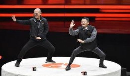 马老师爆料太极拳视频全集