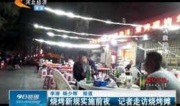 石家庄爆料大全视频,揭秘城市热点事件背后的真相