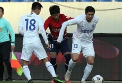 申花最新爆料排行,热点事件盘点，揭秘球队动态