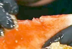 网红吃瓜海外,揭秘娱乐圈幕后风云