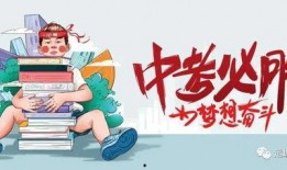 阿诺最新爆料消息视频大全,揭秘幕后真相与精彩瞬间