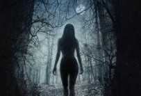 《女巫》在线观看,揭秘神秘女巫的奇幻冒险之旅