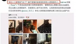 男星粉丝群爆料视频,揭秘明星幕后生活片段