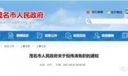 茂名市新闻爆料,聚焦民生热点，揭示社会现象