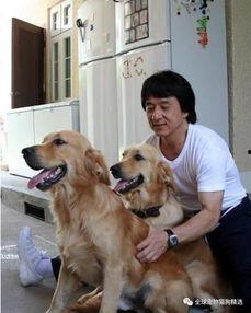 娱乐吃瓜酱大哥爱小狗,娱乐吃瓜酱大哥与小狗的温馨日常