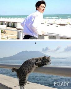 娱乐吃瓜小猫咪微博