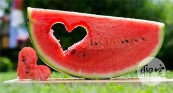 娱乐吃瓜风格是什么样的,揭秘明星们的“吃瓜”日常