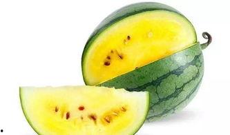 娱乐吃瓜酱800米,揭秘明星800米跑步背后的故事