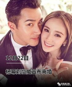 吃瓜小说娱乐圈完整版